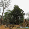 Ta Prohm 1