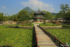景福宮Ⅵ