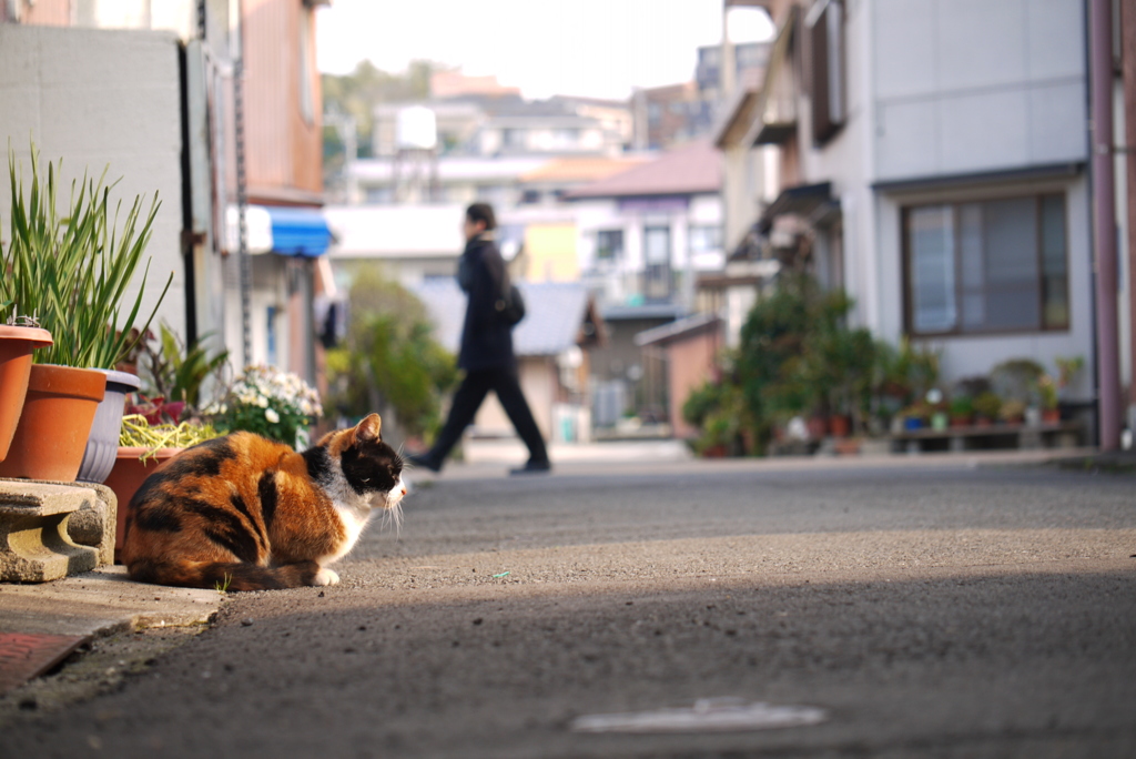 大晦日の朝だって・・・