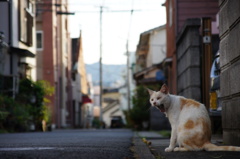 うにゃ～～っ 