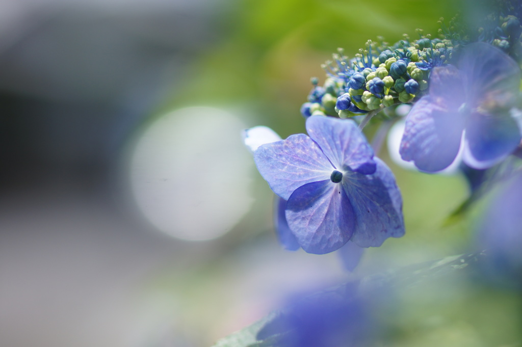 Watery blue.