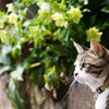 花と僕 Vol,5