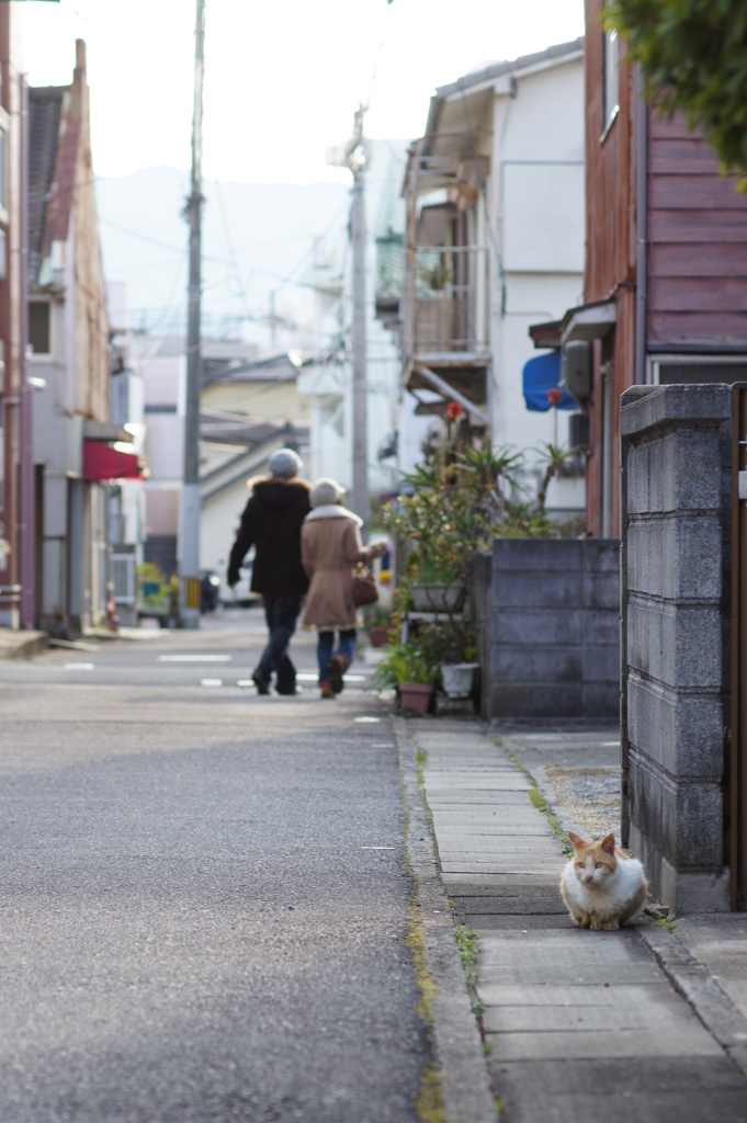 すれ違う愛と孤独