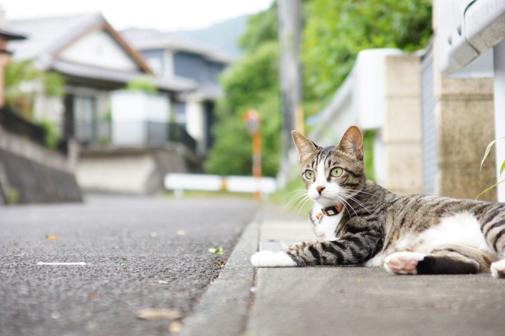 力を抜いても・・・ 