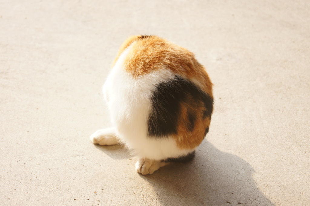 新種の生き物・・・？
