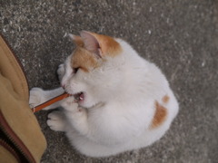 ガブガブ・・・・