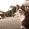 曇り空でも・・・