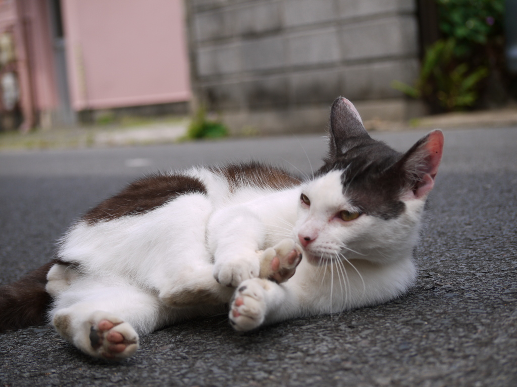 う・・・・・気が遠くなりそう！