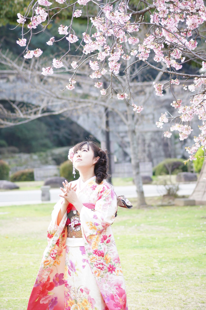 桜の木の下で・・・