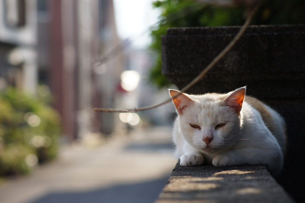 大好きな場所