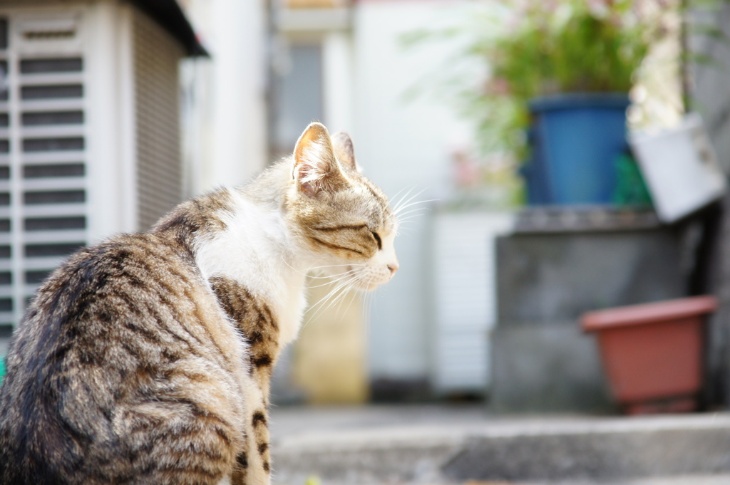 思い出し笑い・・・