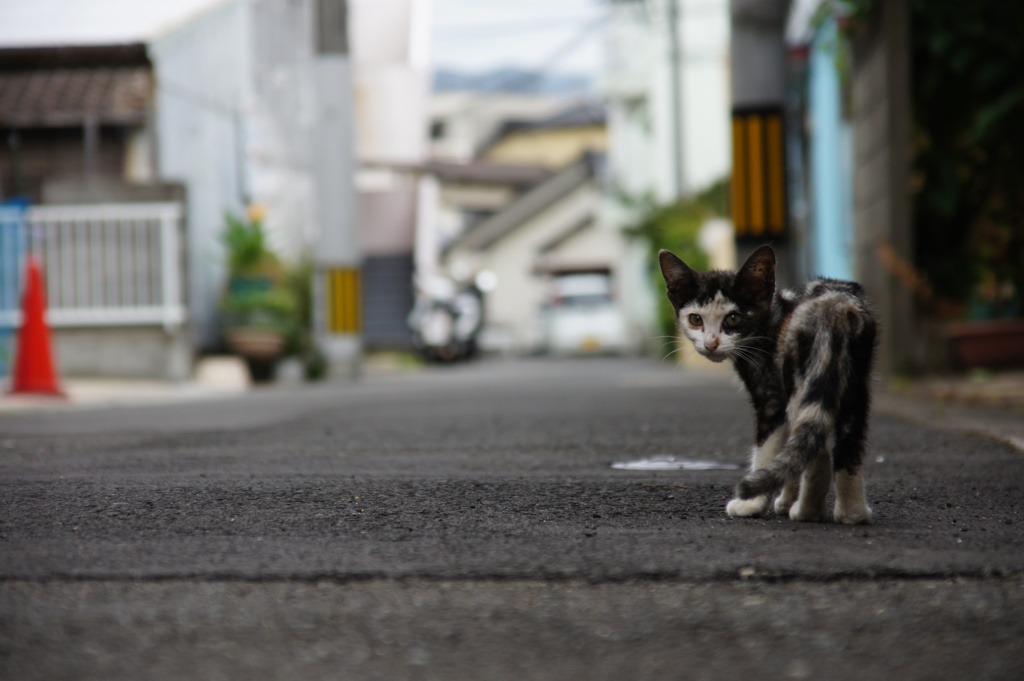 そばに来ないでよ！