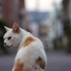 時には・・・・