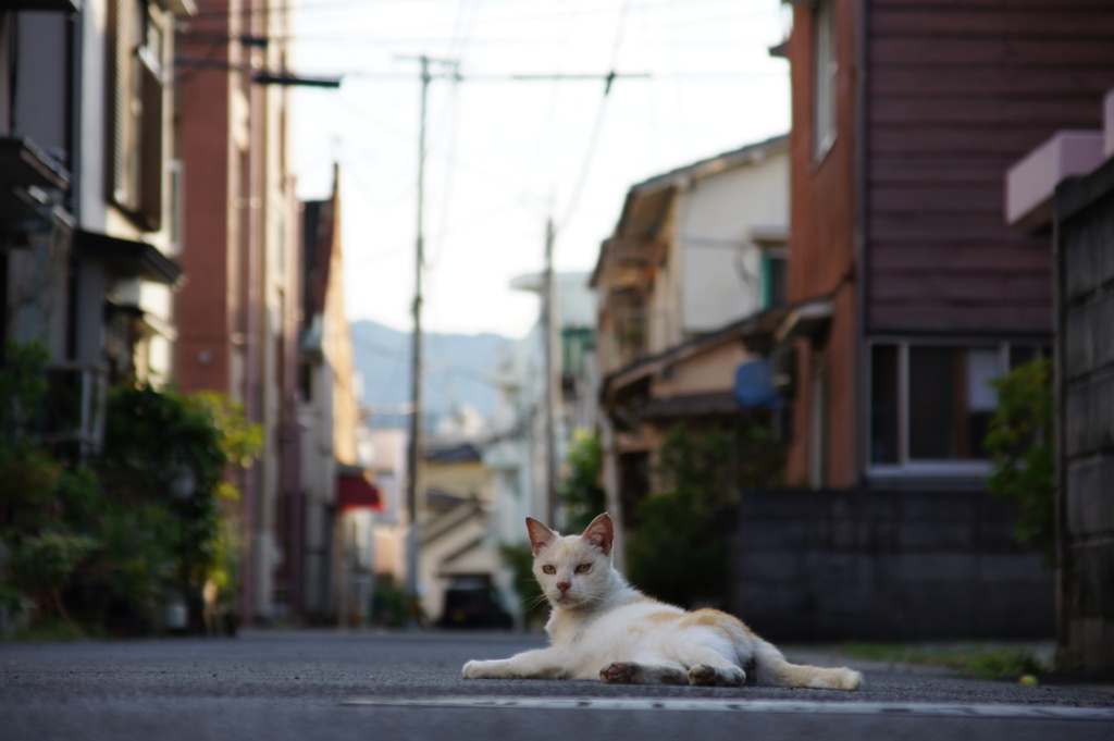 よっこらしょと・・・ 