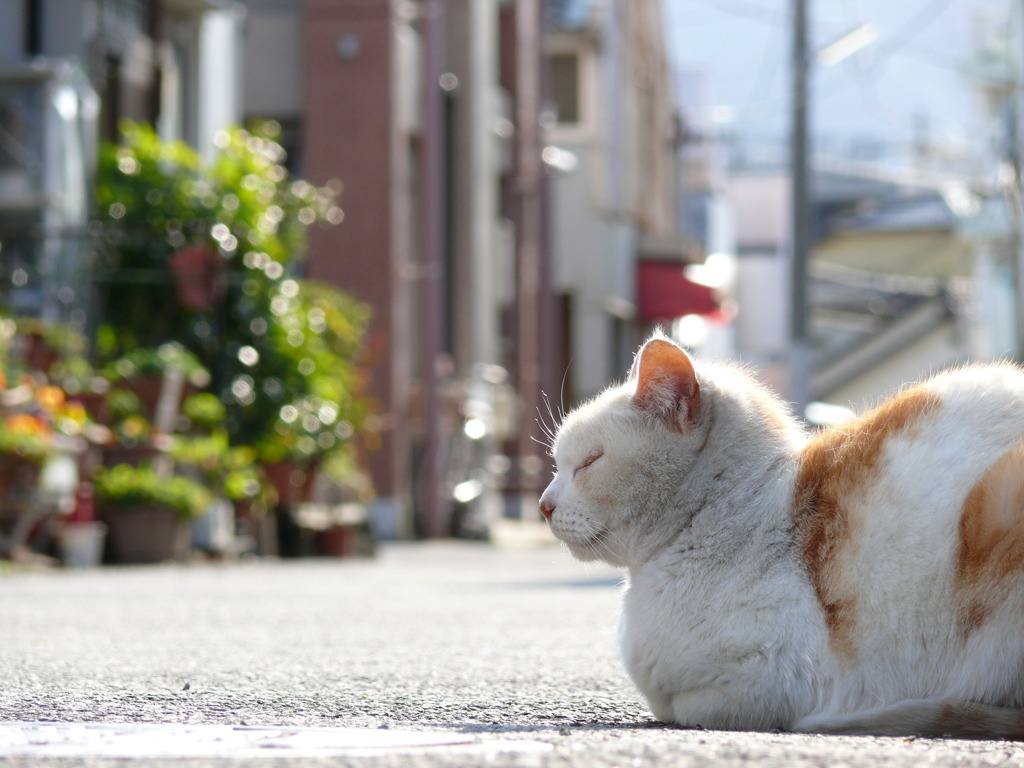 春の日差し