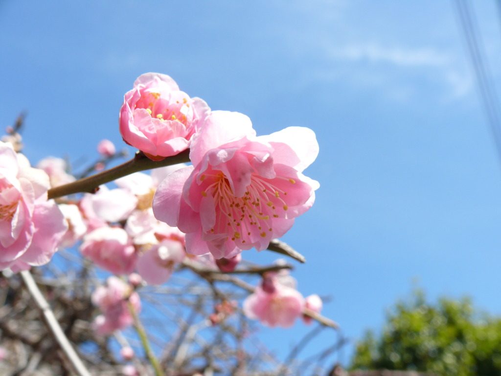 良い天気です＾＾。