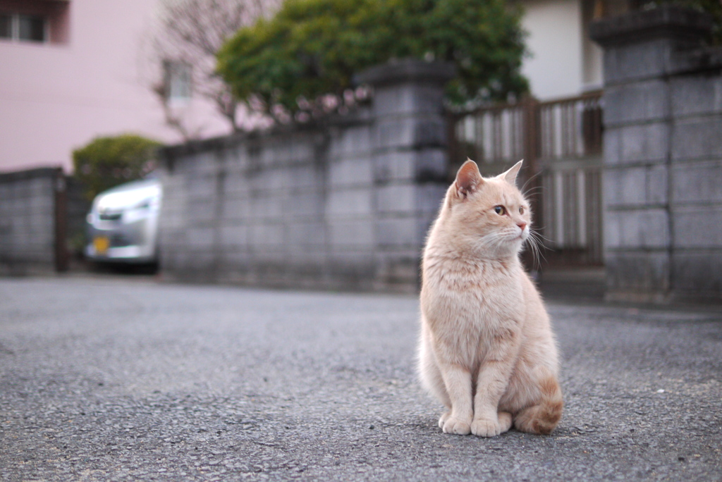一抹の不安・・・