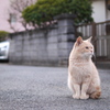 一抹の不安・・・