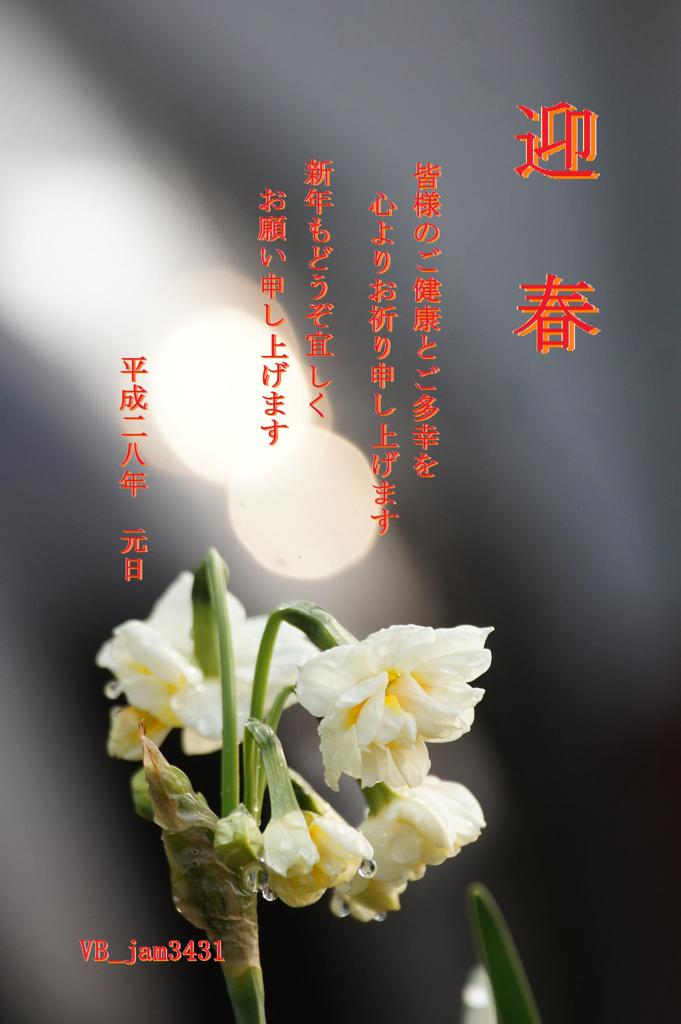 迎　　春
