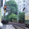 The woman waiting a streetcar.