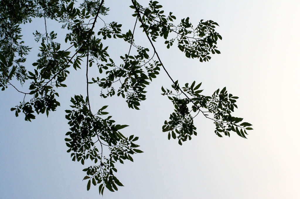 空