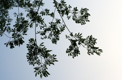 空