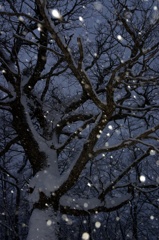snow