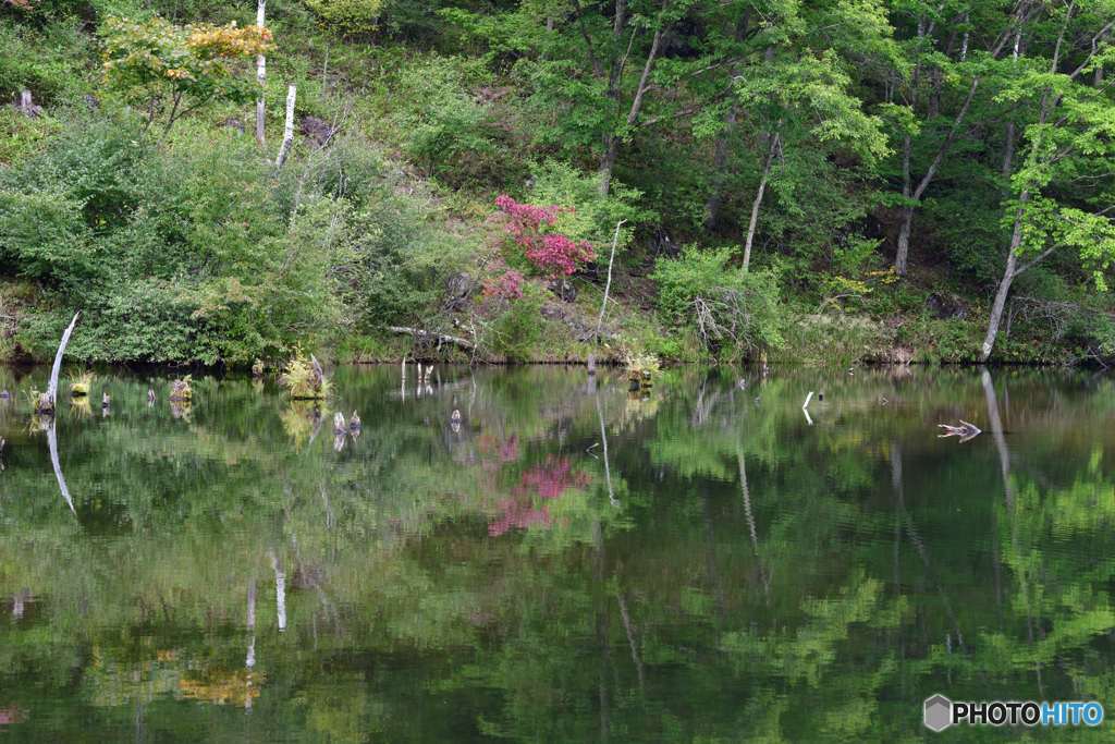 もうすぐ紅葉です