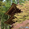 新海神社三重の塔