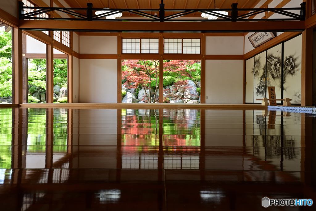 新緑の床もみじNo.1