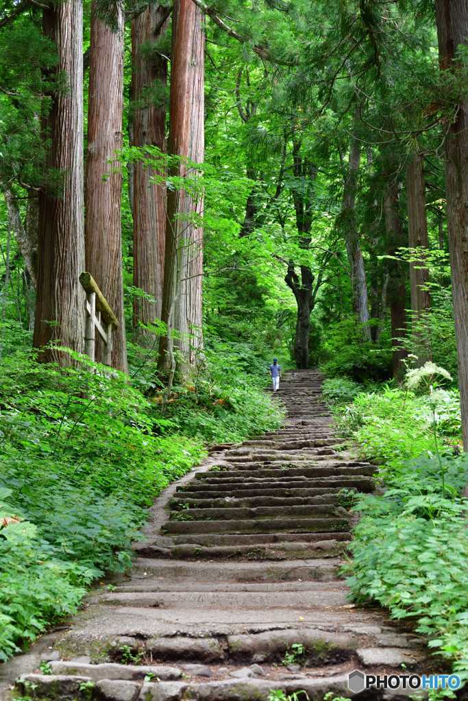 急登開始