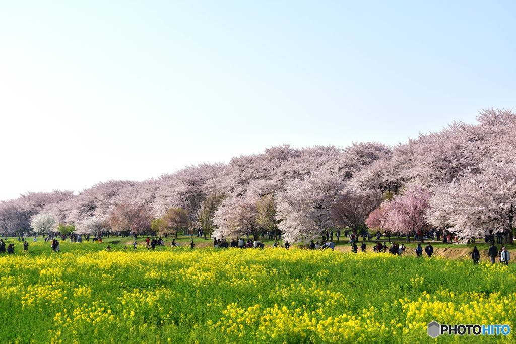 春を求めて
