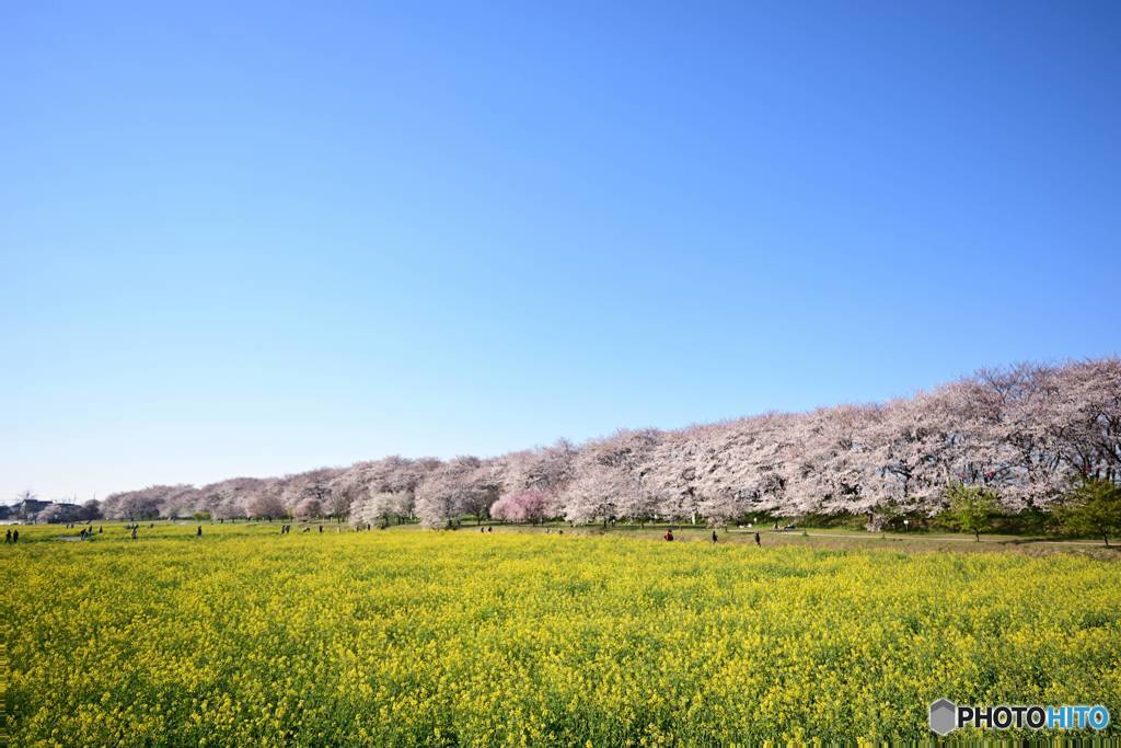 遅刻してくれてありがとう