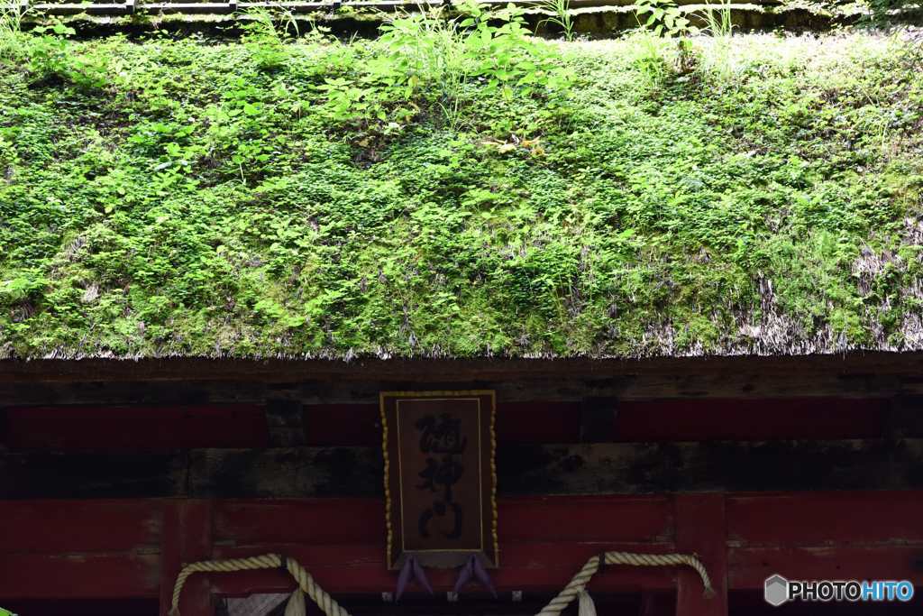 戸隠神社奥社　隋神門