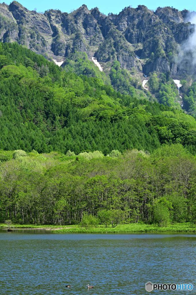 山と森と湖とカモ