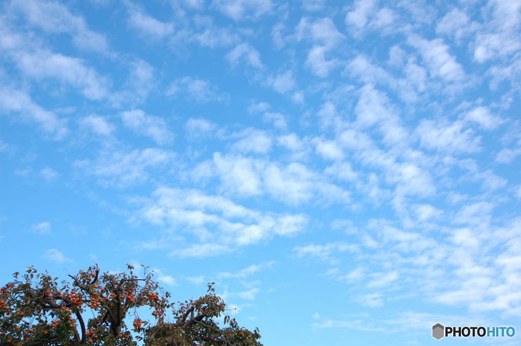 きもちよい秋空