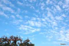 きもちよい秋空