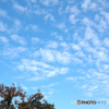 きもちよい秋空