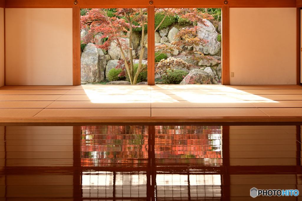 「床もみじ」その１