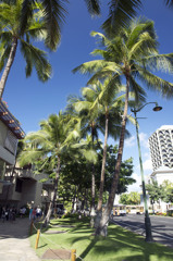 KALAKAUA AVE 2