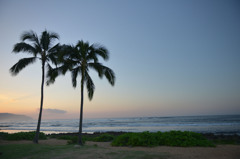 Haleiwa Beach 4