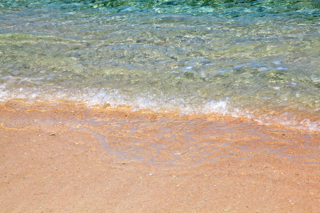Coco Palm Garden Beach Wave 1