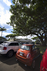 Haleiwa  Town 1