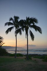 Haleiwa Beach 3