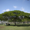 KAPIOLANI BEACH PARK ４