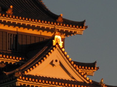 岡山城
