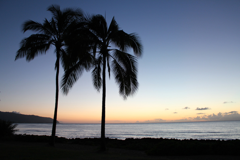 Puaena Point Beach Park 10