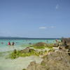 Phi Phi Don Island 9