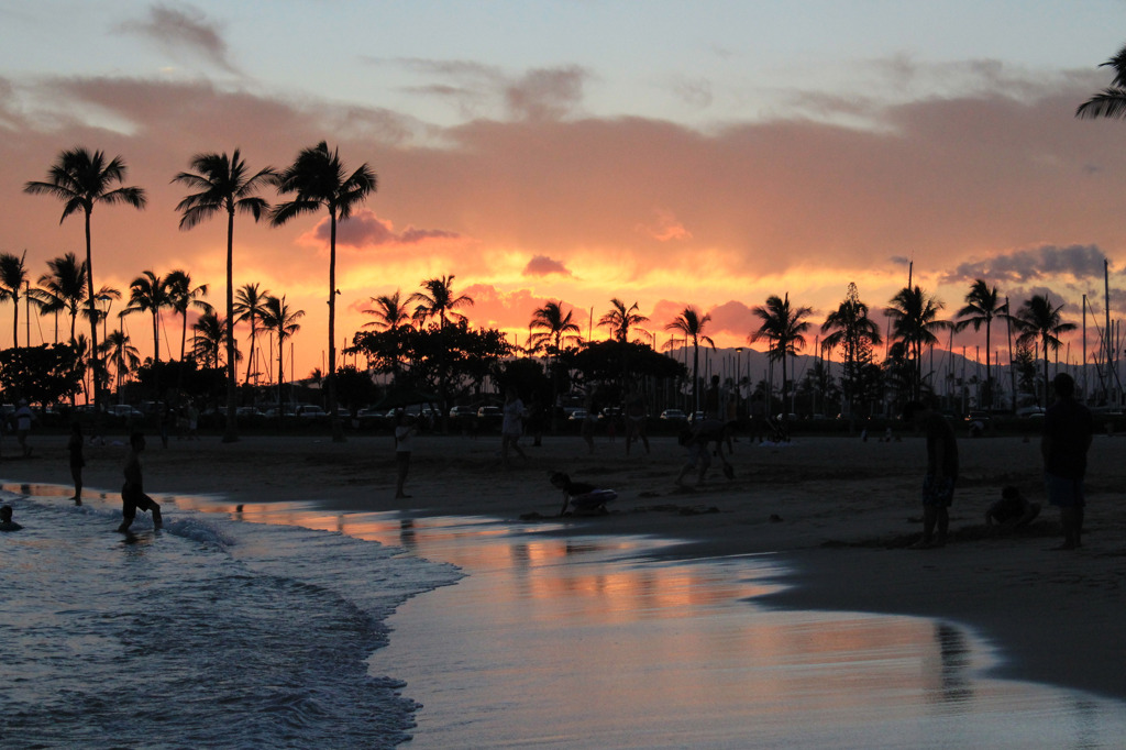Waikiki Beach 9