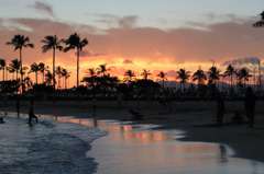 Waikiki Beach 9